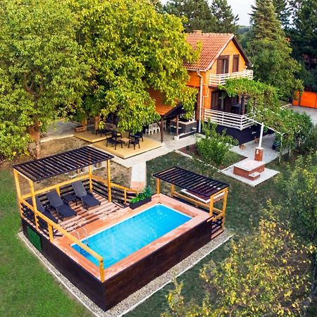 Villa Dijana - Pool, Spa, Outdoor Kitchen ベオグラード エクステリア 写真