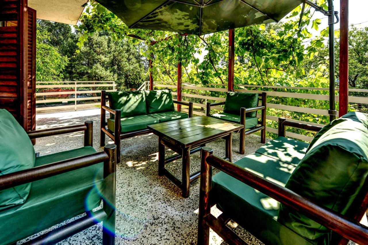 Villa Dijana - Pool, Spa, Outdoor Kitchen ベオグラード エクステリア 写真